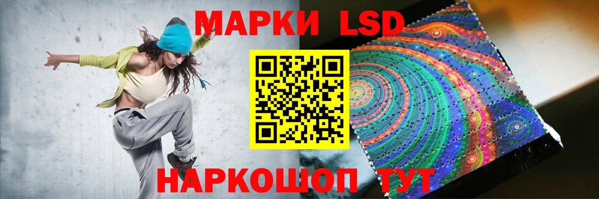 APVP Будённовск