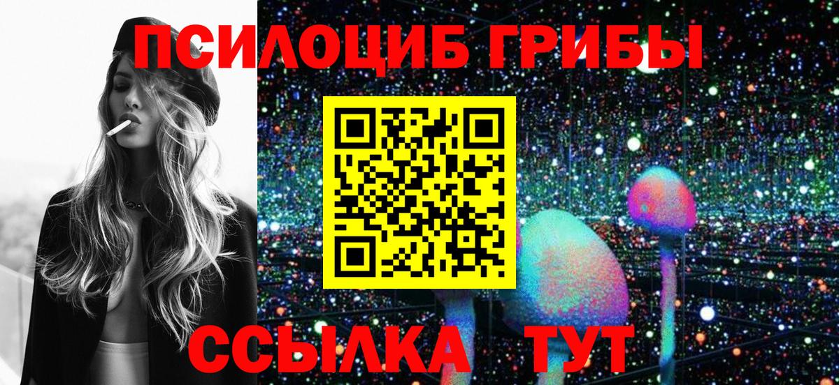 Псилоцибиновые грибы Magic Shrooms Будённовск