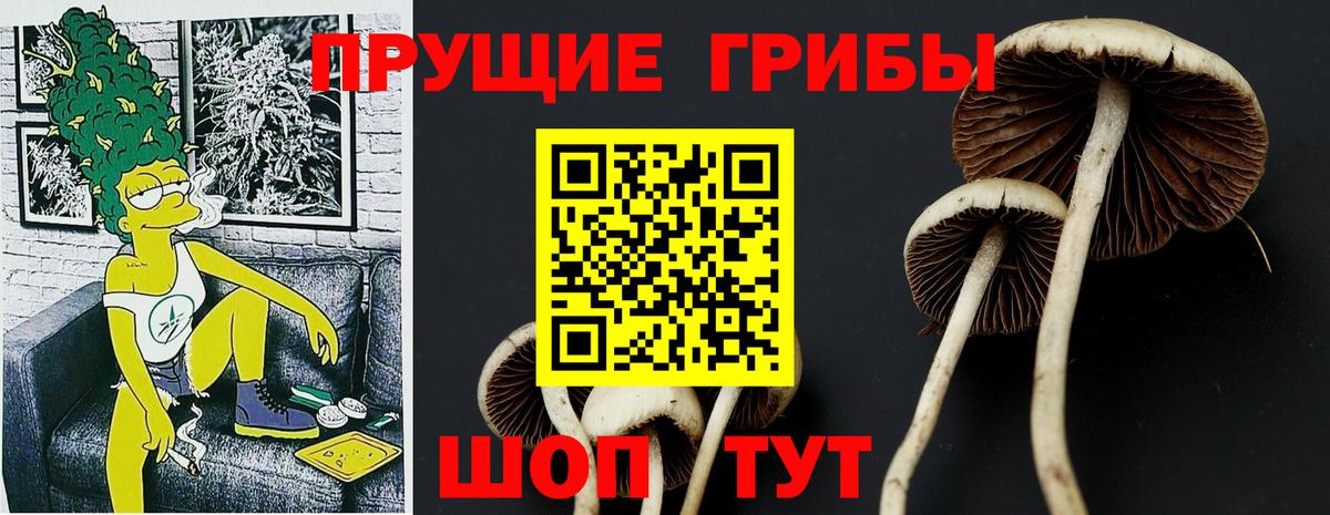 Галлюциногенные грибы мицелий  Будённовск 