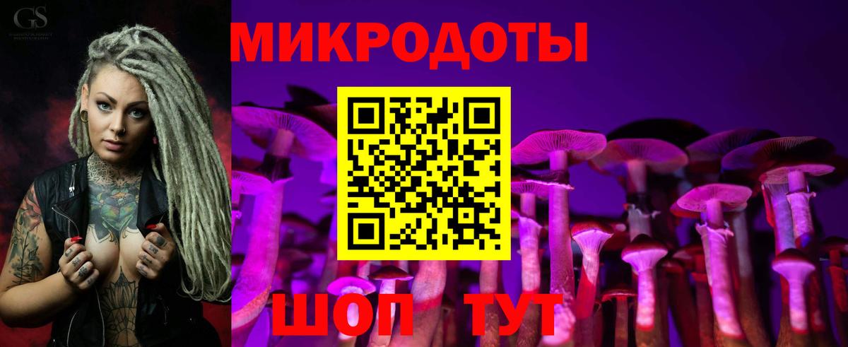 Галлюциногенные грибы мухоморы Будённовск